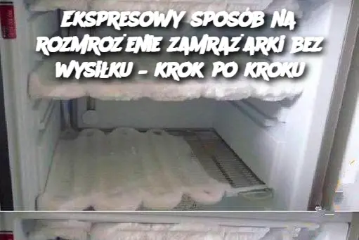 Ekspresowy sposób na rozmrożenie zamrażarki bez wysiłku – krok po kroku