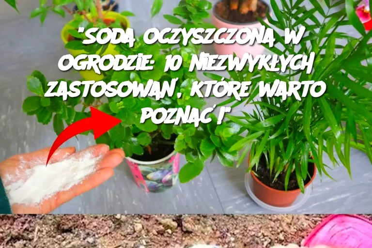 "Soda oczyszczona w ogrodzie: 10 niezwykłych zastosowań, które warto poznać!"