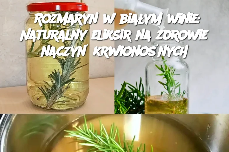 Rozmaryn w białym winie: Naturalny eliksir na zdrowie naczyń krwionośnych