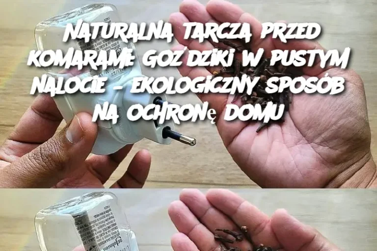 Naturalna tarcza przed komarami: Goździki w pustym nalocie – ekologiczny sposób na ochronę domu