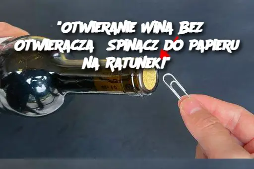 "Otwieranie Wina Bez Otwieracza? Spinacz do Papieru na Ratunek!"