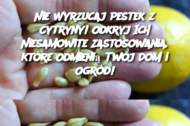 Nie Wyrzucaj Pestek z Cytryny! Odkryj Ich Niesamowite Zastosowania, Które Odmienią Twój Dom i Ogród!