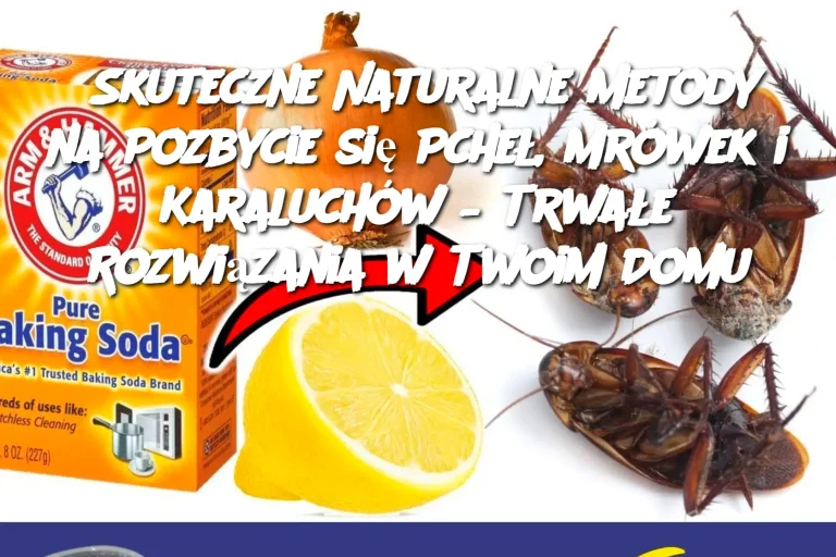 Skuteczne Naturalne Metody na Pozbycie się Pcheł, Mrówek i Karaluchów – Trwałe Rozwiązania w Twoim Domu