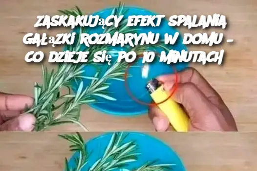 Zaskakujący efekt spalania gałązki rozmarynu w domu – co dzieje się po 10 minutach?