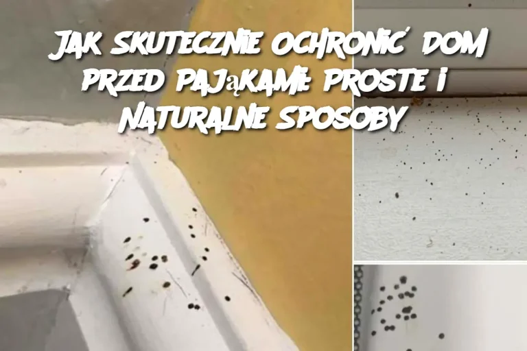 Jak Skutecznie Ochronić Dom przed Pająkami: Proste i Naturalne Sposoby