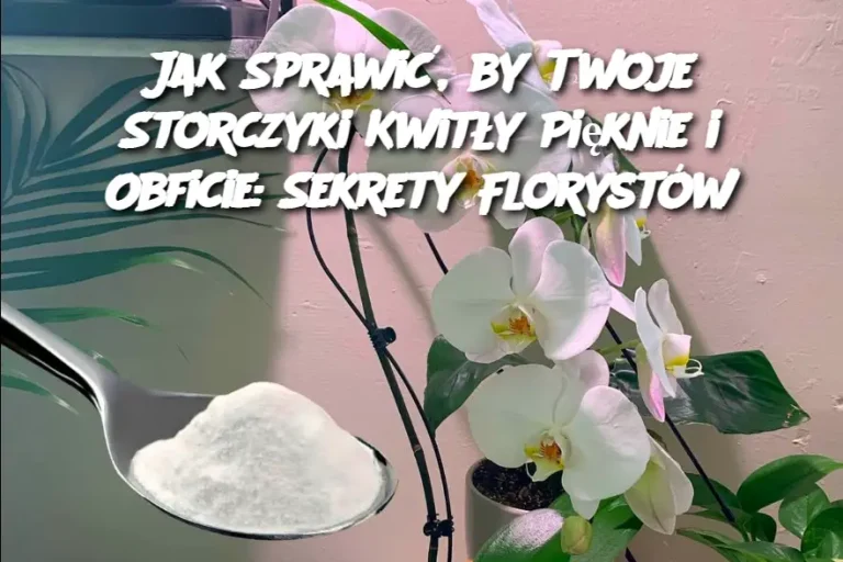 Jak Sprawić, by Twoje Storczyki Kwitły Pięknie i Obficie: Sekrety Florystów