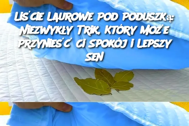 Liście Laurowe Pod Poduszką: Niezwykły Trik, Który Może Przynieść Ci Spokój i Lepszy Sen