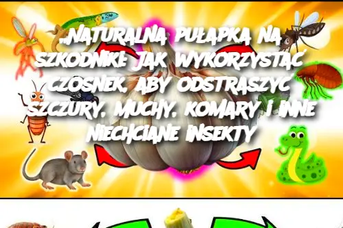 „Naturalna pułapka na szkodniki: Jak wykorzystać czosnek, aby odstraszyć szczury, muchy, komary i inne niechciane insekty