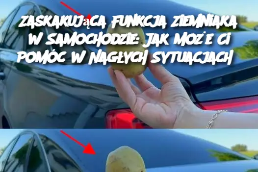 Zaskakująca Funkcja Ziemniaka w Samochodzie: Jak Może Ci Pomóc w Nagłych Sytuacjach?