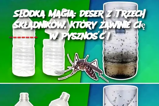 Słodka Magia: Deser Z Trzech Składników, Który Zawinie Cię w Pyszność!