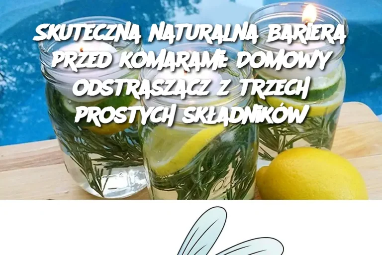 Skuteczna naturalna bariera przed komarami: Domowy odstraszacz z trzech prostych składników