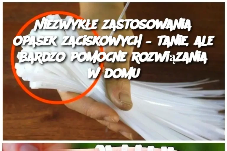 Niezwykłe zastosowania opasek zaciskowych – tanie, ale bardzo pomocne rozwiązania w domu