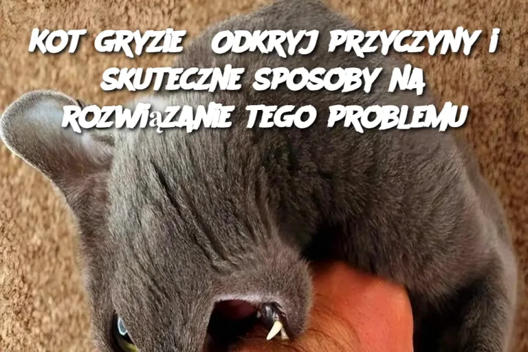 Kot gryzie? Odkryj przyczyny i skuteczne sposoby na rozwiązanie tego problemu