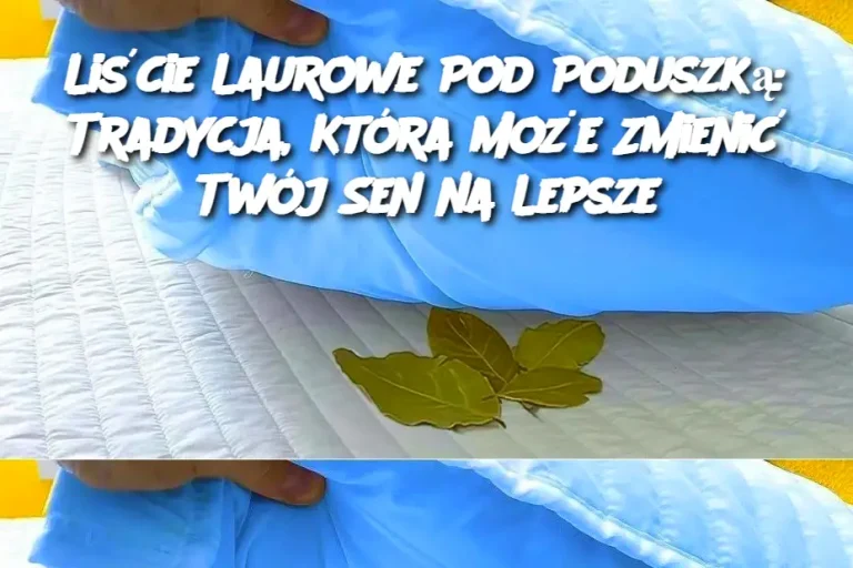 Liście Laurowe Pod Poduszką: Tradycja, Która Może Zmienić Twój Sen na Lepsze