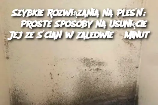 Szybkie Rozwiązania na Pleśń: 3 Proste Sposoby na Usunięcie Jej ze Ścian w Zaledwie 5 Minut