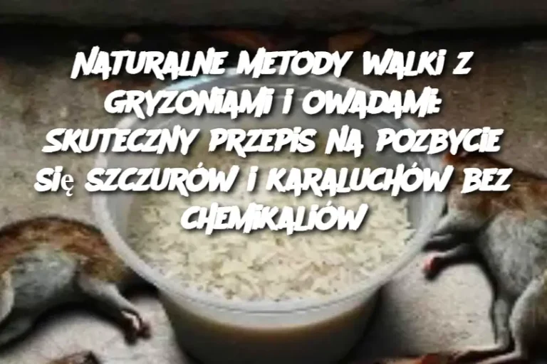 Naturalne metody walki z gryzoniami i owadami: Skuteczny przepis na pozbycie się szczurów i karaluchów bez chemikaliów