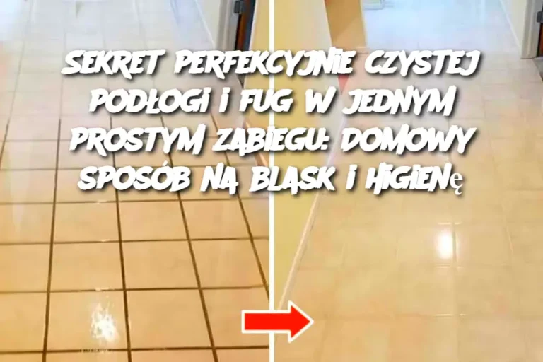 Sekret perfekcyjnie czystej podłogi i fug w jednym prostym zabiegu: Domowy sposób na blask i higienę