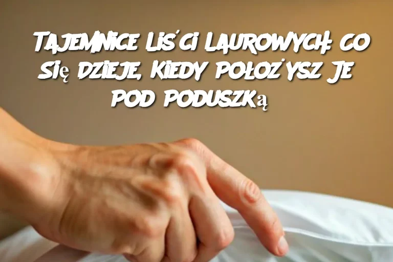 Tajemnice Liści Laurowych: Co Się Dzieje, Kiedy Położysz Je Pod Poduszką?